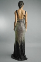 Back View