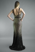 Back View