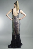Back View
