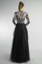 Back View
