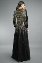 Back View