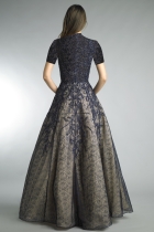 Back View