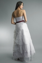 Back View