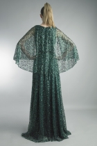 Back View