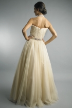 Back View