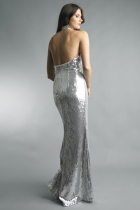 Back View