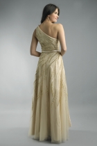 Back View