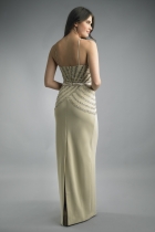 Back View