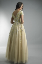 Back View
