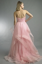 Back View