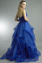 Back View