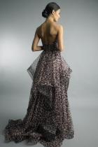 Back View