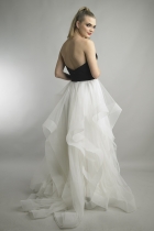 Back View