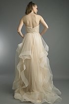Back View