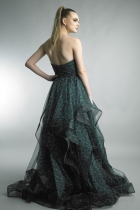 Back View