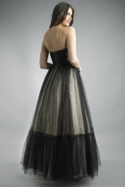 Back View