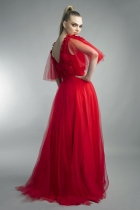 Back View