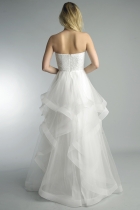 Back View