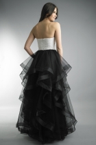 Back View