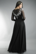 Back View