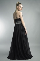 Back View