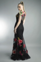 Back View