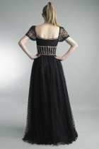 Back View