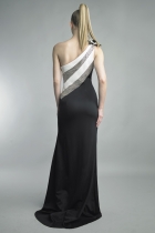 Back View
