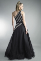 Back View