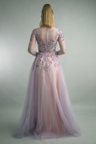 Back View