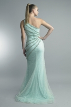 Back View