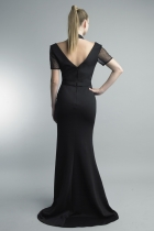 Back View