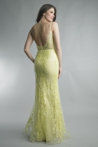 Back View