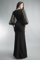 Back View