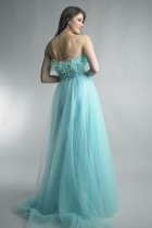 Back View