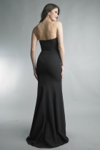 Back View