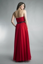 Back View