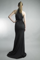 Back View
