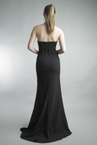 Back View