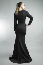 Back View
