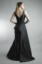 Back View