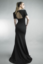 Back View