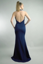 Back View