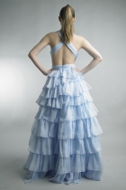 Back View