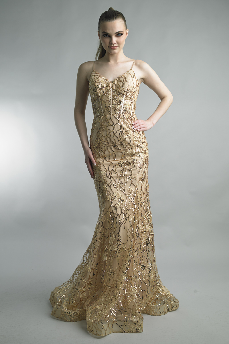 Sequined Lace Mermaid Gown