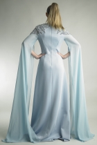 Back View