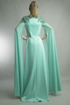 Back View