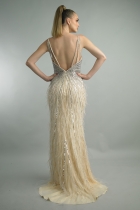 Back View