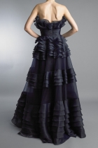 Back View