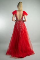 Back View